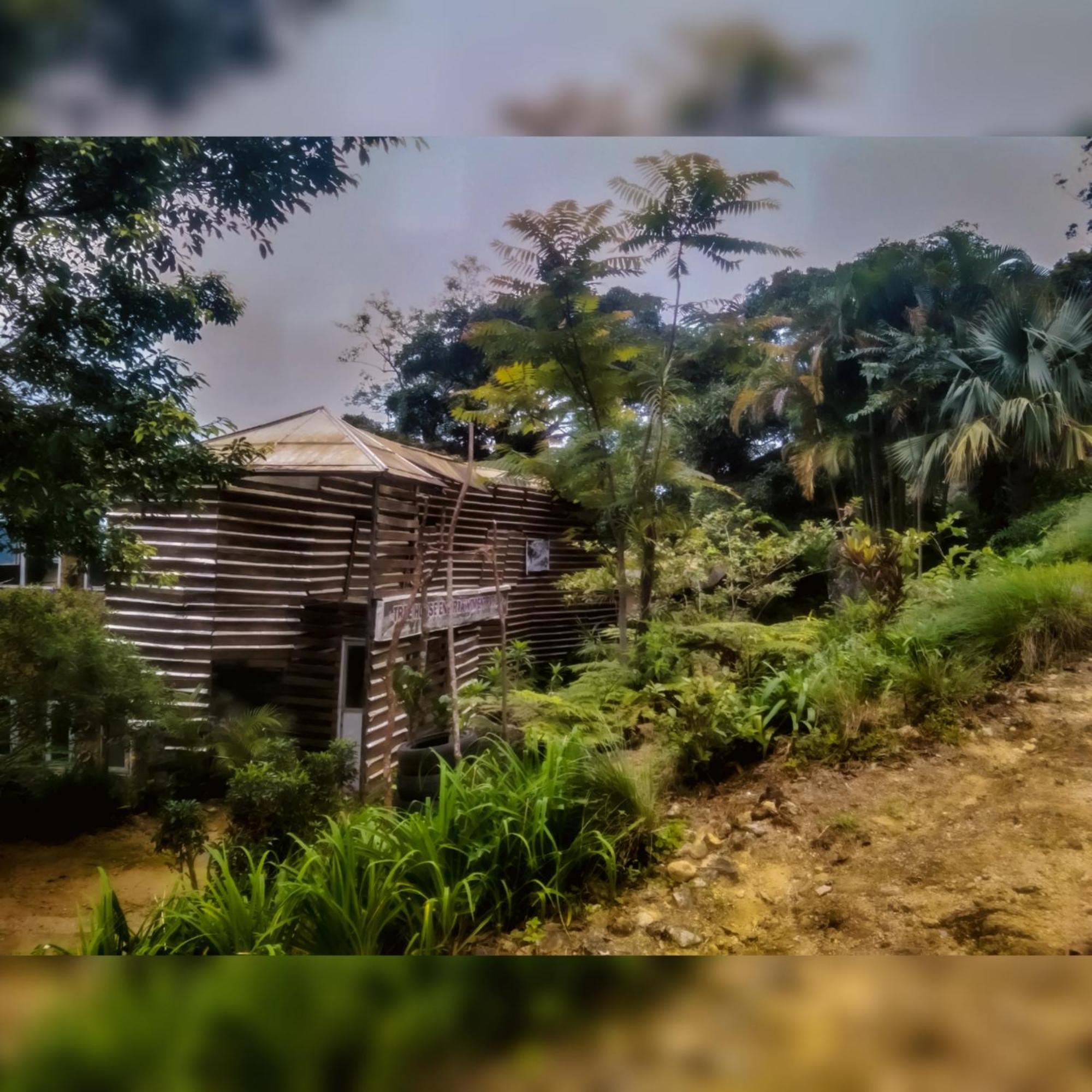 Bed and Breakfast Jungle Tree House Rangala Канди Экстерьер фото